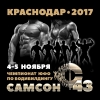 САМСОН-43 Чемпионат Южного Федерального округа по бодибилдингу IFBB САМСОН-43 Чемпионат Южного Федерального округа по бодибилдингу IFBB