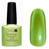 CND SHELLAC, ЦВЕТ LIMEADE 7,3 ML